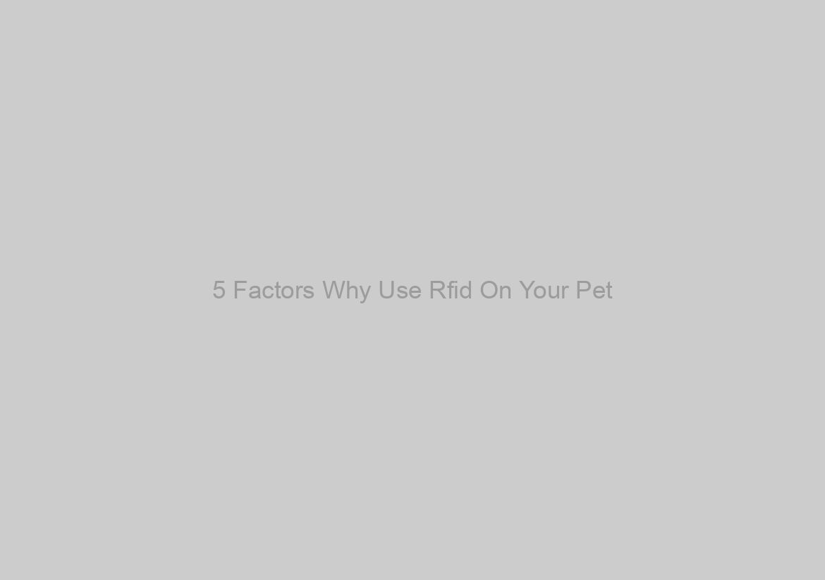 5 Factors Why Use Rfid On Your Pet